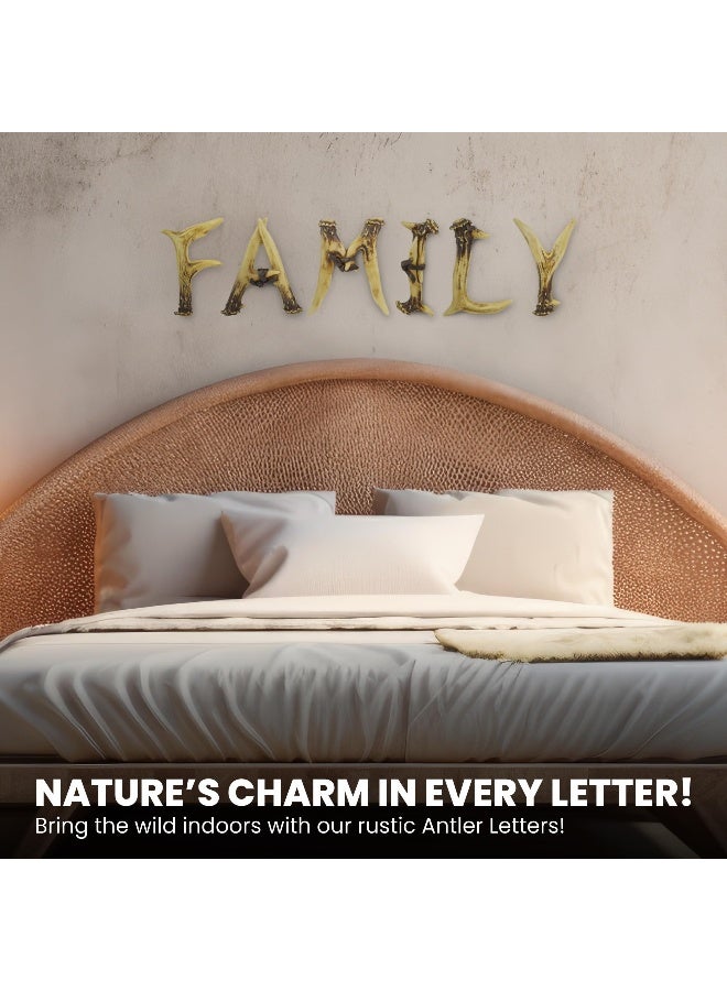 Pine Ridge Personalized Name Art 6" Antler Letter D Home Decor - 3D Western Decorative Hanging Wall Letters Decorations Deer Antler Monogram Hunting Sign Design - Unique Gift Ideas - Image 5